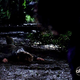 Illustration for article titled Lost Recap: Did Sayid Kill "Hitler"?